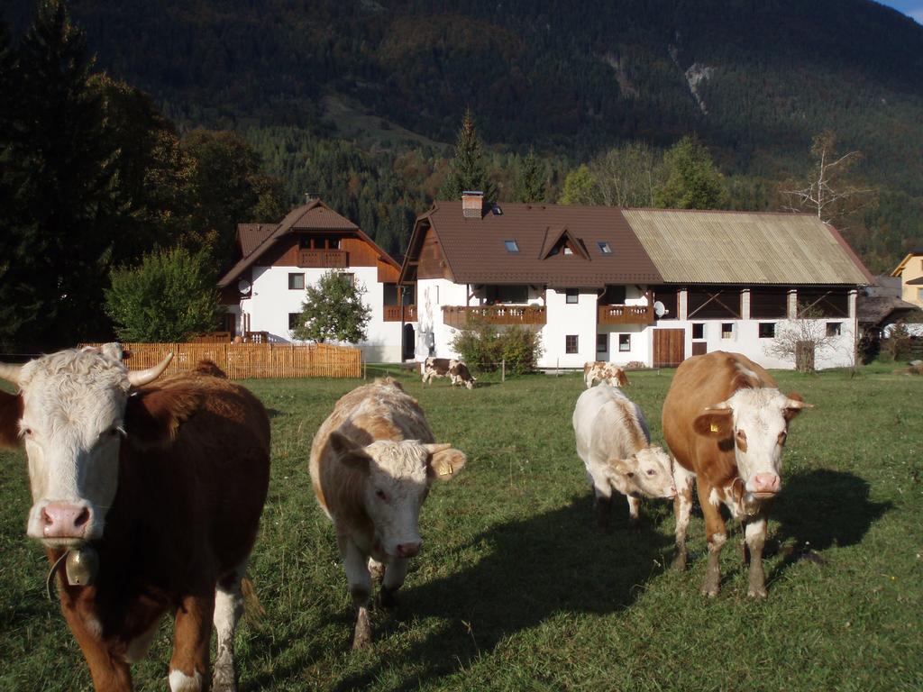 Вилла Farm Kosir Краньска Гора Экстерьер фото