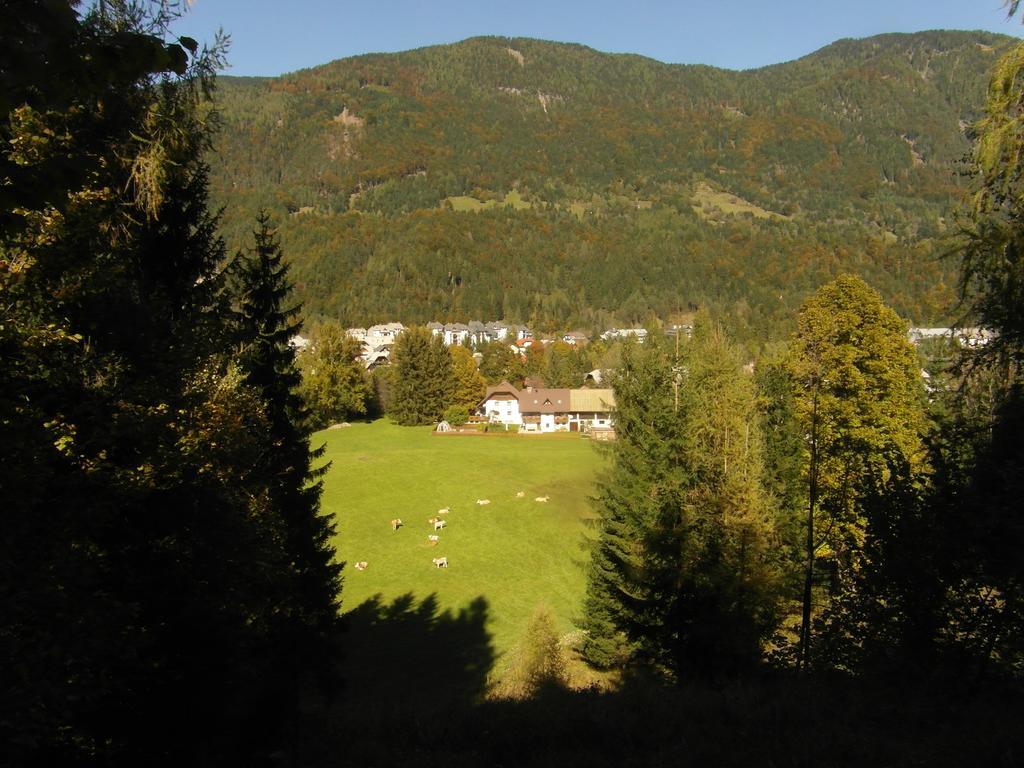 Вилла Farm Kosir Краньска Гора Экстерьер фото