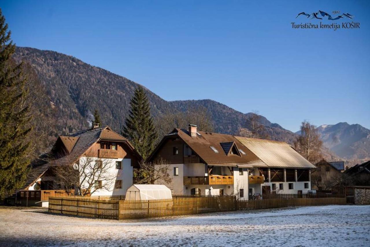 Вилла Farm Kosir Краньска Гора Экстерьер фото